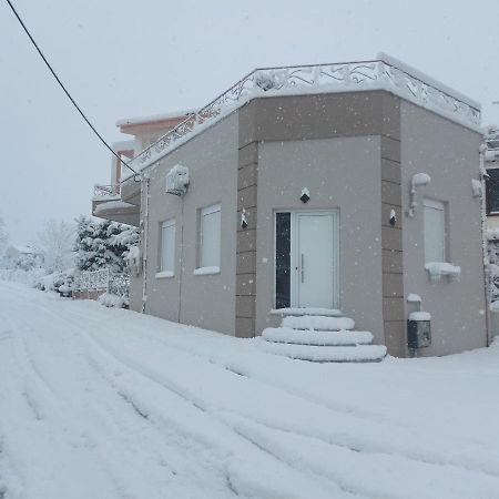 Lefis House Apartment Volos Exterior foto